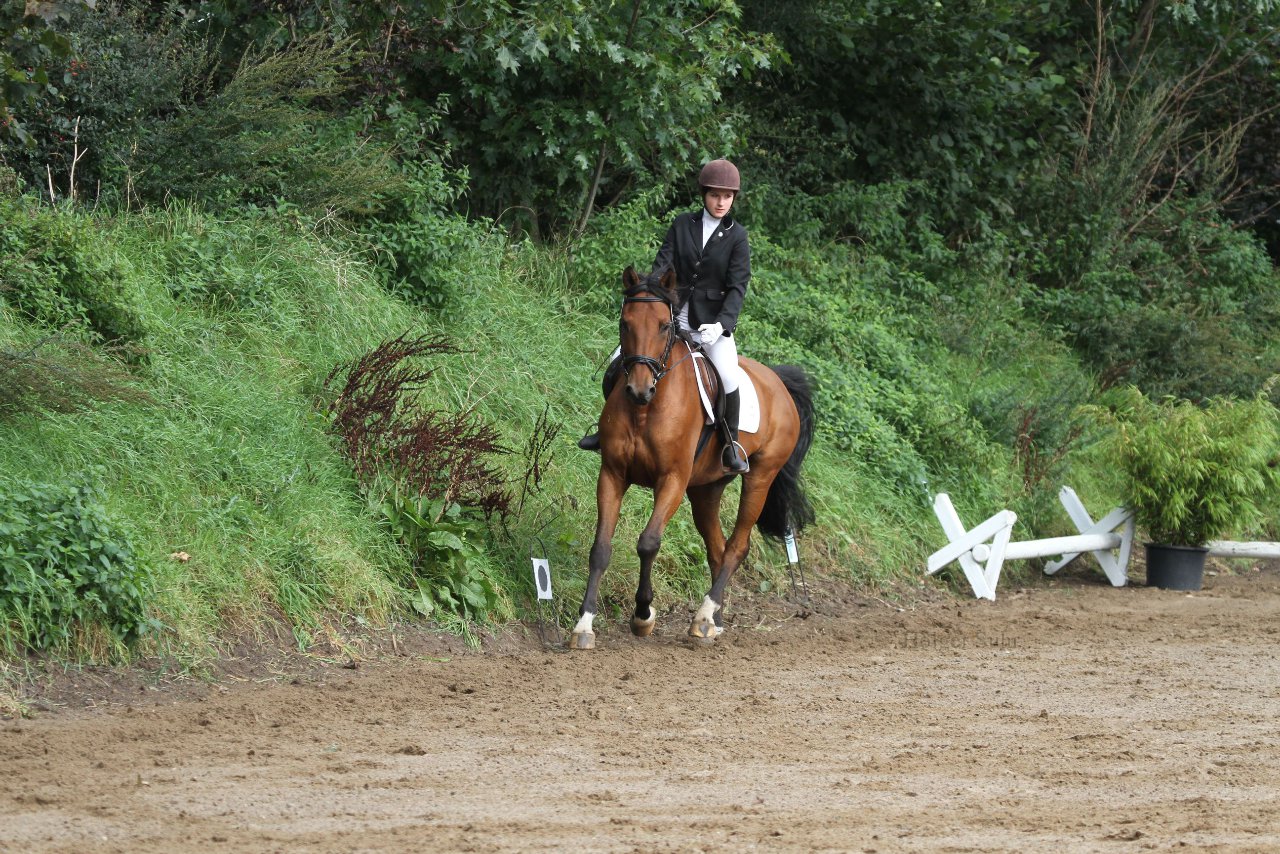 Bild 202 - WBO-Turnier am 18.9.11